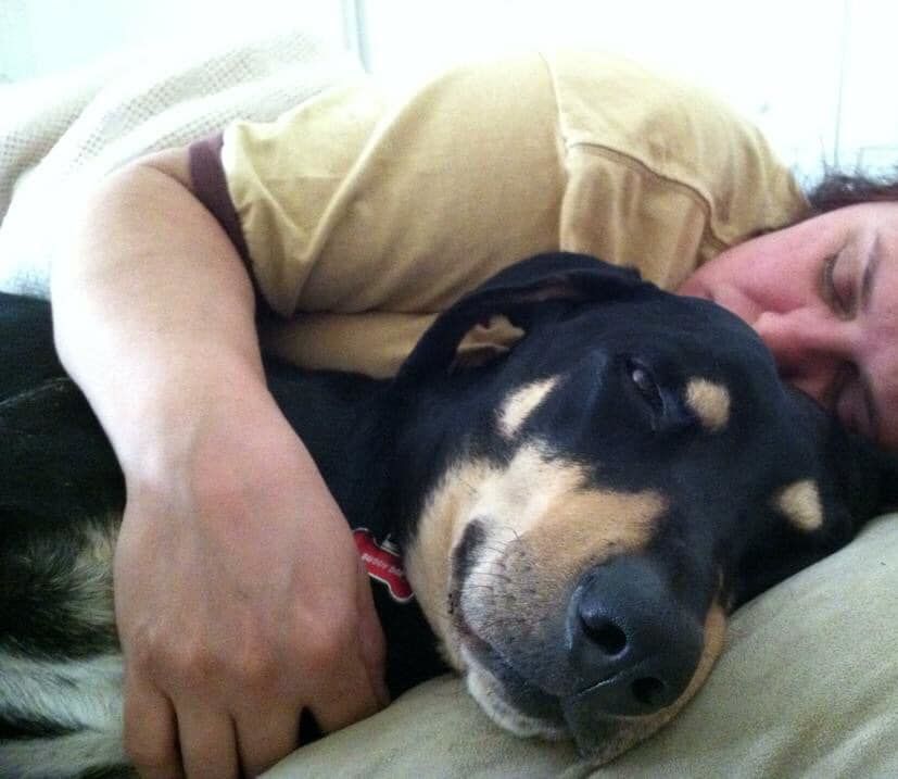 Readers pet photos